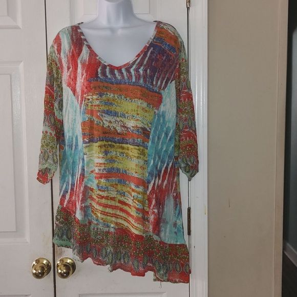 Parsley & Sage Tops Parsley Sage Tunic Top Artsy Art To Wear Ruffle V Neck Paisley Sz X
